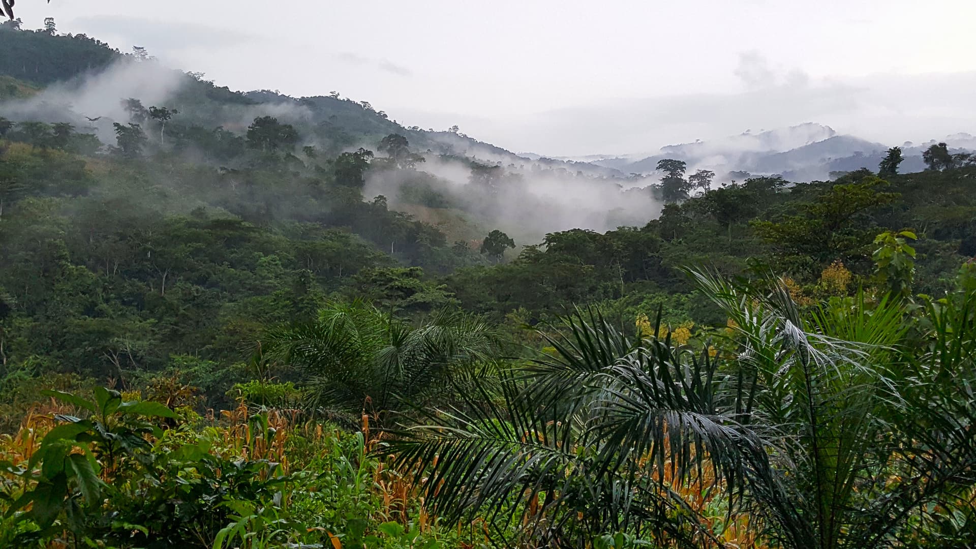 Kloto Plateau