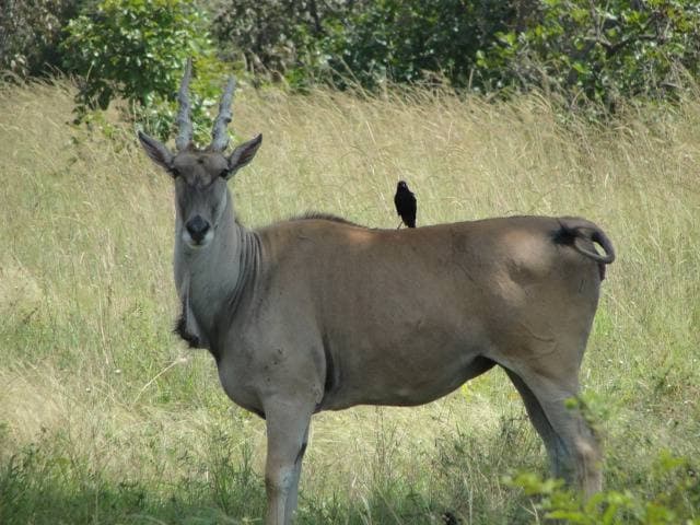 Fazao National Park