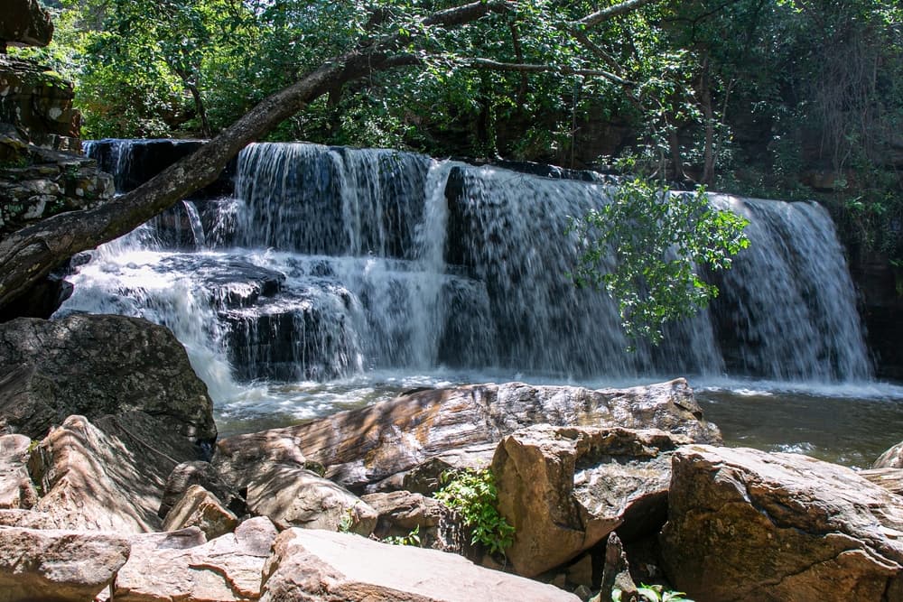 Pendjari National Park